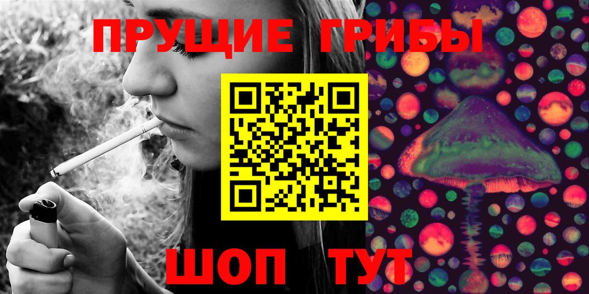 Кириши  Галлюциногенные грибы MAGIC MUSHROOMS  Вход с VPN 
