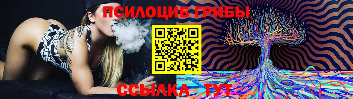 Галлюциногенные грибы Psilocybe Кириши